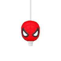 Spider Man